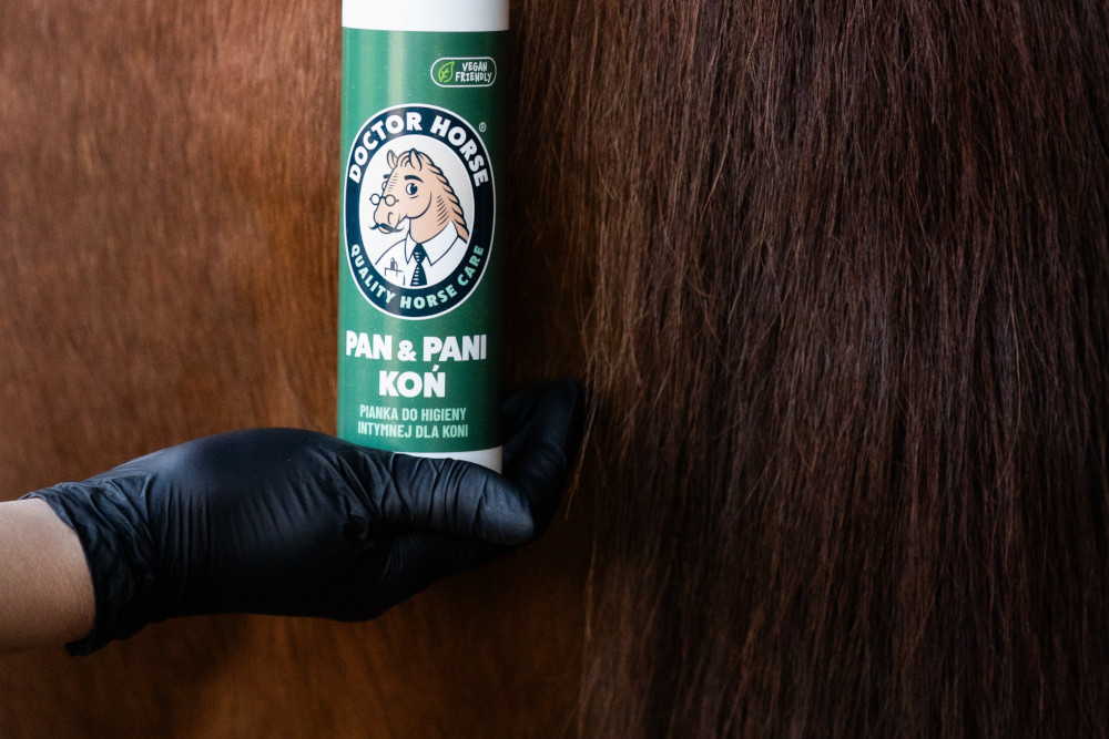 Letni rytuał pielęgnacyjny w stajni - jak kąpać konia, by czuł się lekko, świeżo i komfortowo?