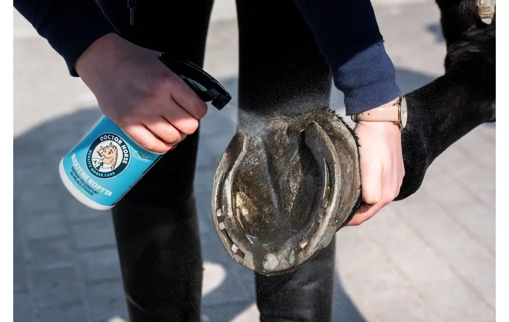 Jak zadbać o kopyta jesienią, kiedy pada non stop?