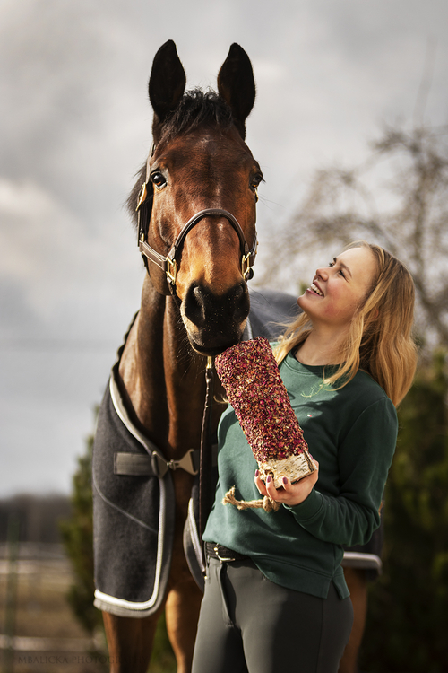 Rosen-Delight - Knabberholz aus Birke für Pferde