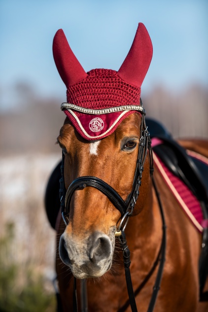 Nauszniki Wygłuszające Bordo