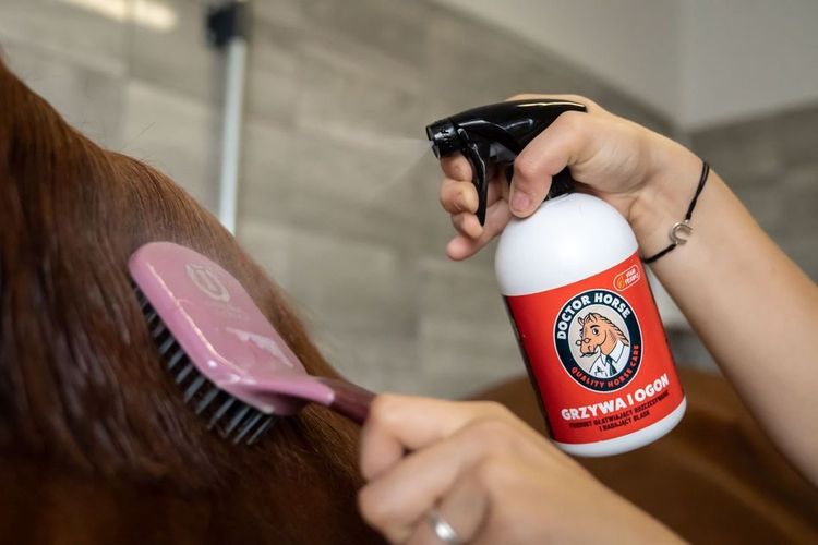 Grzywa i Ogon - Odżywka ułatwiająca rozczesywanie i nadająca blask 500ml