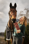Rosen-Delight - Knabberholz aus Birke für Pferde