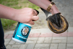 Blaue Hufe - Pflegepräparat bei Strahlfäule Spray 100ml