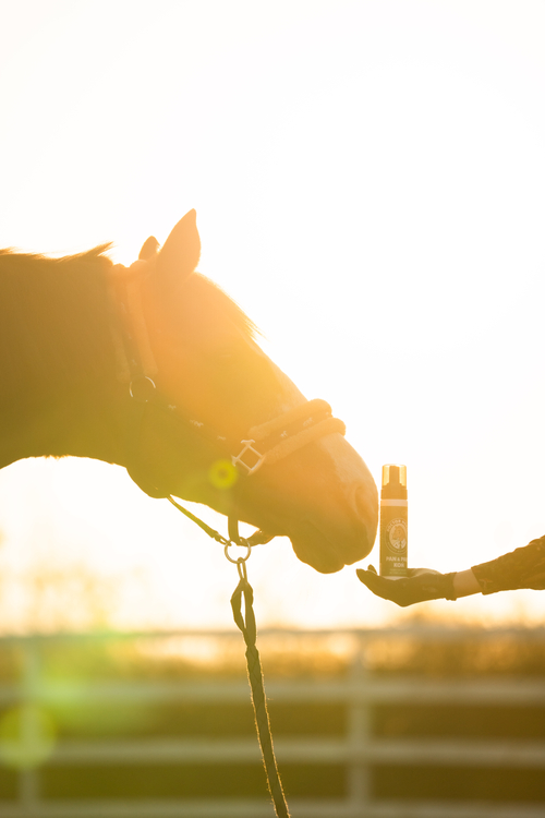 Pan&Pani Koń 100ml pianka do higieny intymnej dla koni