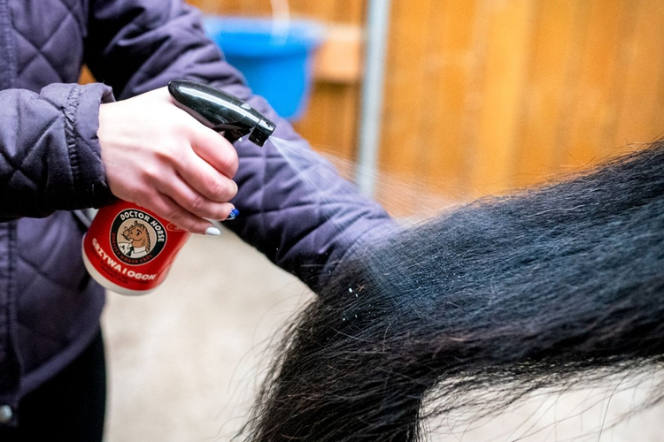 Grzywa i Ogon - Odżywka ułatwiająca rozczesywanie i nadająca blask