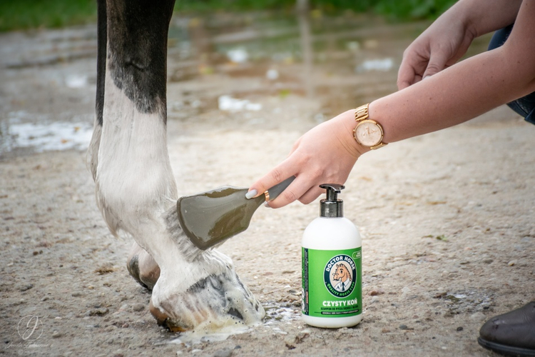 Czysty Koń - Szampon 500ml