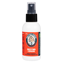 Grzywa i Ogon - Odżywka ułatwiająca rozczesywanie i nadająca blask