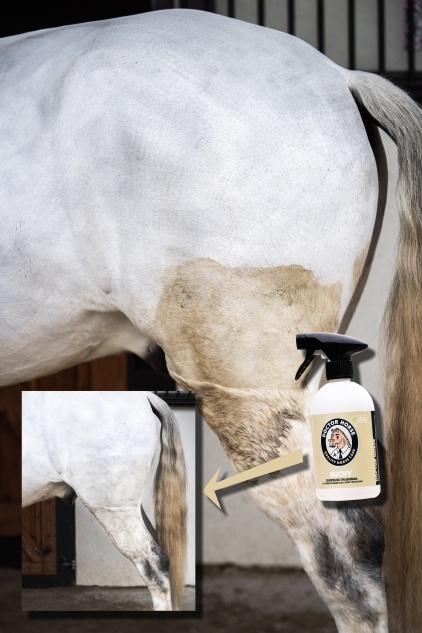 Suchy - Szampon bez Spłukiwania 100ml