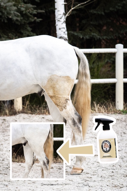 Trocken - Shampoo ohne Ausspülen 500ml