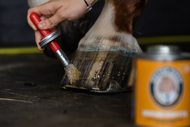 Mocne Kopyta – Wegański Olej do Kopyt 450ml w puszce