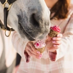 Muffinka walentynkowa