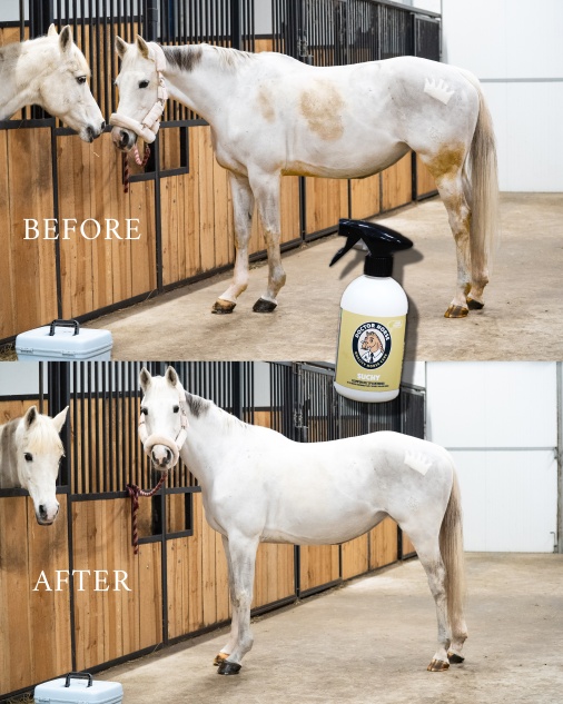 Suchy - Szampon bez Spłukiwania