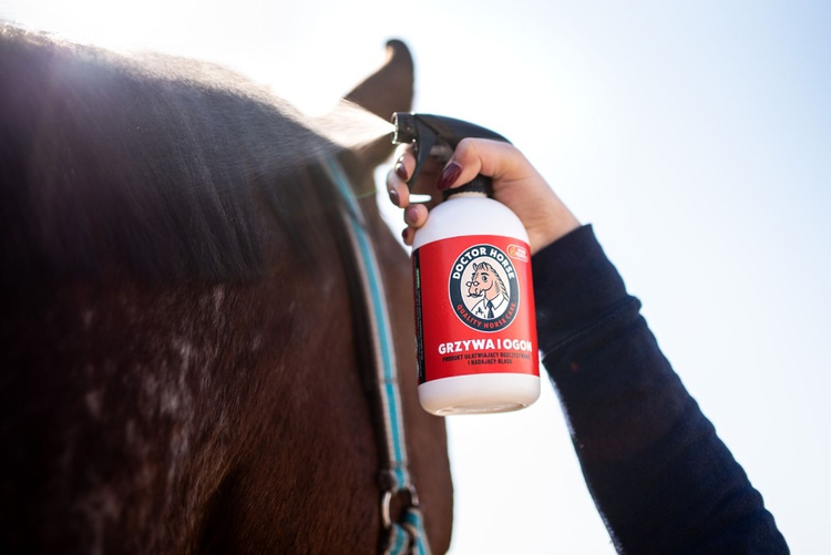 Grzywa i Ogon - Odżywka ułatwiająca rozczesywanie i nadająca blask 500ml