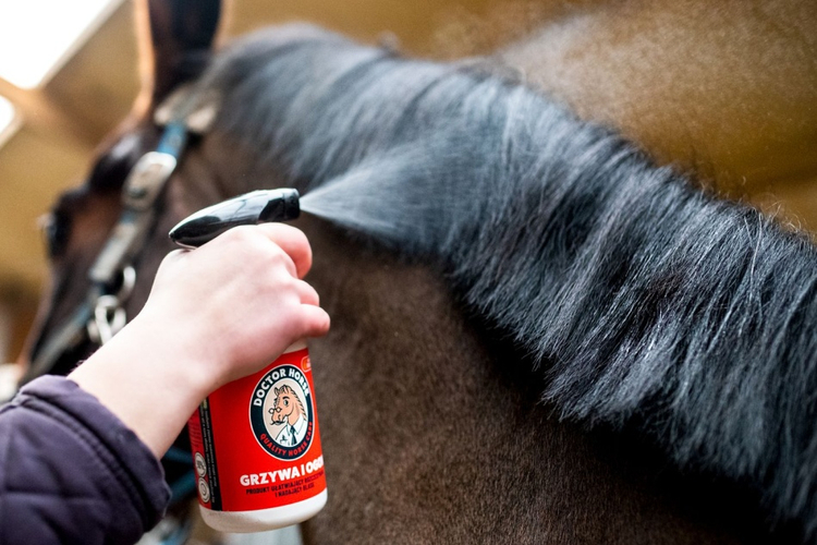 Grzywa i Ogon - Odżywka ułatwiająca rozczesywanie i nadająca blask 500ml