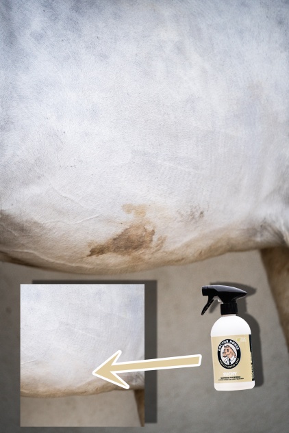 Trocken - Shampoo ohne Ausspülen 500ml